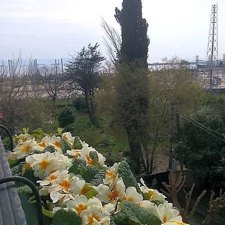 Отель Pendik Marine Стамбул