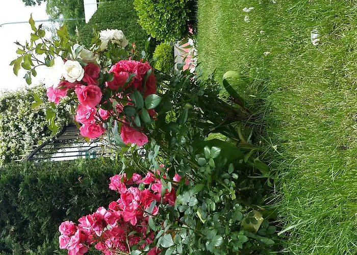 Hotell Pendik Marine