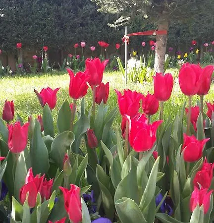 Pendik Marine Hotell Istanbul