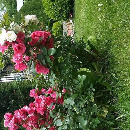 Hotell Pendik Marine